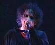 THE CURE - WHERE THE BIRDS ALWAYS SING