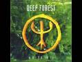 Deep Forest - Forest Hymn