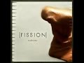 Fission - Magnetism