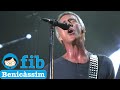 Paul Weller - Peacock Suit | Benicassim 2014