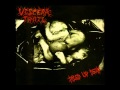 Viscera Trail - Stiff And Dry Cunt