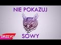 GeneralTV - NIE POKAZUJ SOWY (OFFICIAL VIDEO - Attention Parodia)