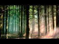 Light The Way  - VALDI SABEV(Relaxing music)