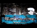 Subkulture feat. Klayton - Erasus (HD)