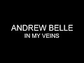Andrew Belle - In my veins [Lyrics] HQ