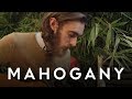 Keaton Henson - You Don't Know How Lucky You Are (Acoustic) // Mahogany Session