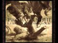 Propagandhi - Apparently, I'm a P.C. Fascist