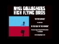 Noel Gallagher's High Flying Birds - Do The Damage (Audio Video)