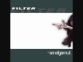 Filter - God Damn Me