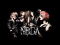 NEGA - OMNIA VANITAS