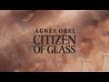 Agnes Obel - Grasshopper (Official Audio)
