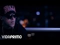 Solo Decian Mmm [Official Video] - Gotay El Autentiko
