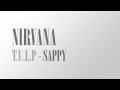 Nirvana - Sappy (T.U.L.P cover) - Tribute to Nirvana