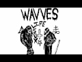 Wavves - Destroy (feat. members of Fucked Up)