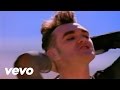 Morrissey - November Spawned A Monster
