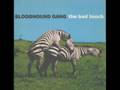 Bloodhound gang  - The bad touch (Speed-up version)