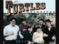 The Turtles - We Got A Groovy Kind Of Love