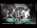 Te Olvide - Staff 44 - Merengue urbano