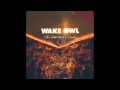 Wake Owl - Madness Of Others [Audio Stream]
