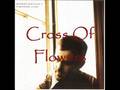 Jeffrey Foucault - Cross Of Flowers