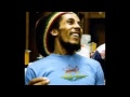 Bob Marley & The Wailers - Soul Shakedown Party