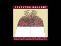 Devendra Banhart - Cosmos and Demos
