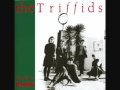 The Triffids - Nothing Can Take Your Place (1983)