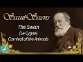Saint-Saens : The Swan ( Le Cygne )  - Carnival of the Animals