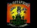 The Offspring - Amazed