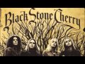 Black Stone Cherry - Violator Girl (Audio)