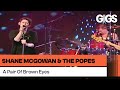 Shane McGowan & The Popes - A Pair Of Brown Eyes (Live At Montreux 1995)