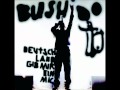 Bushido - Fickdeinemutterslang - Deutschland, gib mir ein Mic!