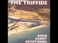 Estuary Bed - The Triffids