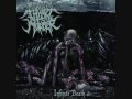 Thy Art Is Murder - Infinite Death