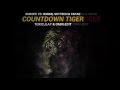 Europe Vs. R3hab, Skytech & Fafaq - Tiger Countdown (Toxic, Ilay & Omri MashUp)