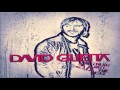 David Guetta - In My Head Feat. Nervo & Daddy's Groove