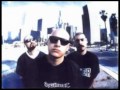 Psycho realm - Narcos y pericos