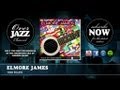 Elmore James - 1839 Blues (1954)