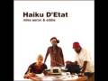 haiku d'etat - still rappin