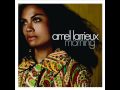 Amel Larrieux - Morning