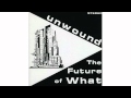 Unwound - Re-Enact the Crime