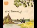 Albert Hammond Jr. - Hard to Live in the City
