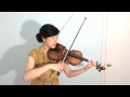 See You Again by Wiz Khalifa ft Charlie Puth - Violin Cover