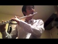 Some Like it Hot (samurai heart) - SPYAIR (Flute Version Cover)