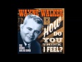 Wayne Walker - Bo - Bo Ska Diddle Daddle