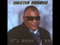 Skeeter Brandon - You Can't Have It Your Way