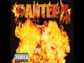 Pantera - You've Gotta Belong To It