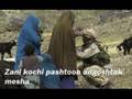 GREAT NEW PASHTO SONG - Pashtun nation - Afghanistan