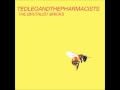 07 Woke Up Near Chelsea - Ted Leo and The Pharmacists