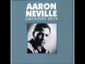 WHY WORRY   - AARON NEVILLE